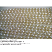 Rice 1009 white.JPG
